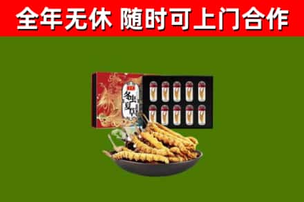 竹山烟酒回收冬虫夏草礼盒.jpg